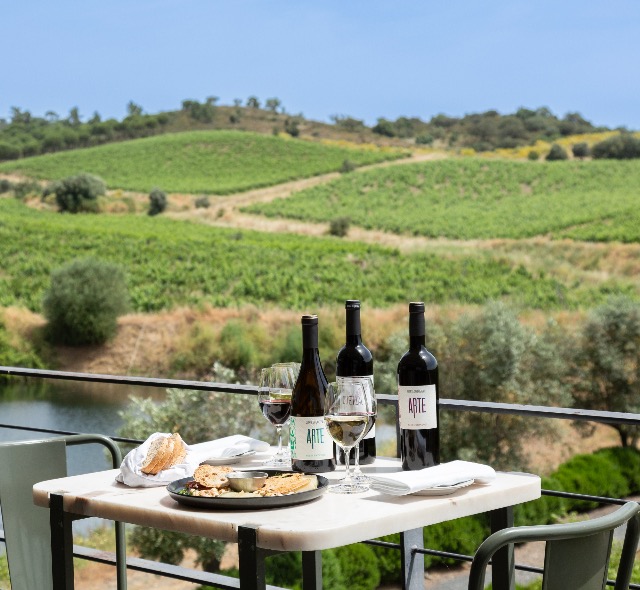 Wine and Food Tours